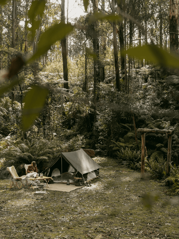 Canvas Tents