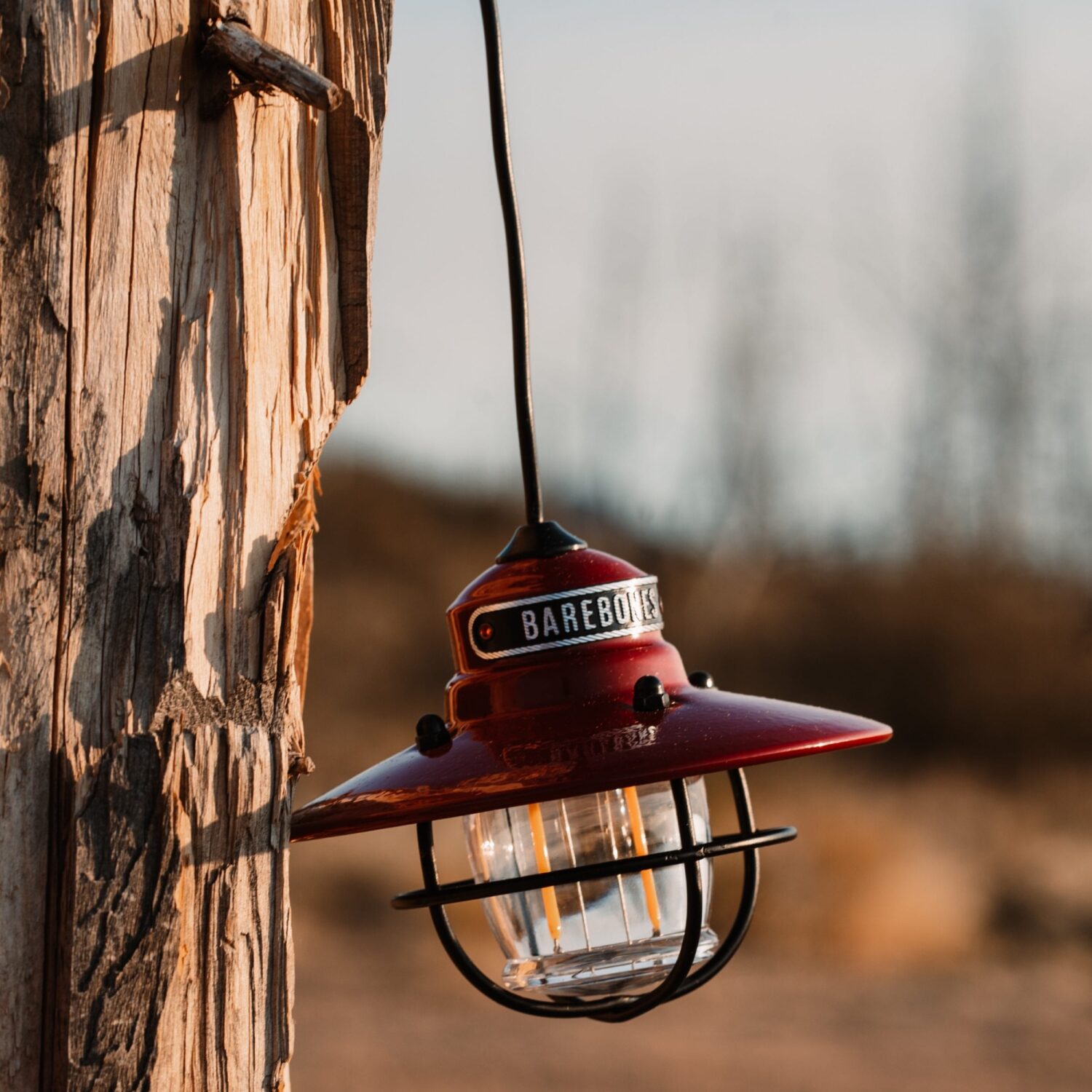 Barebones Edison String Lights - Red - Image 2
