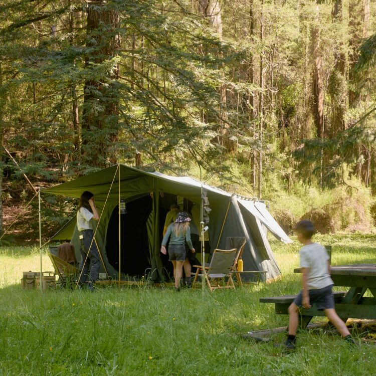 Untitled design (15)